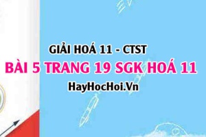 Giải bài 5 trang 19 Hoá 11 SGK Chân trời sáng tạo
